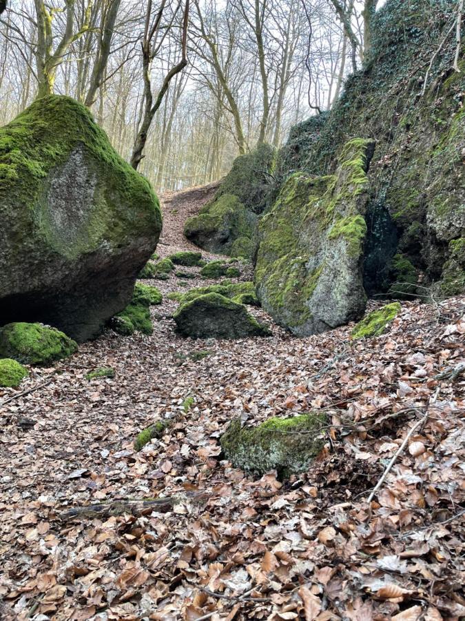 Fewo-Elzerhof Mendig Exteriér fotografie